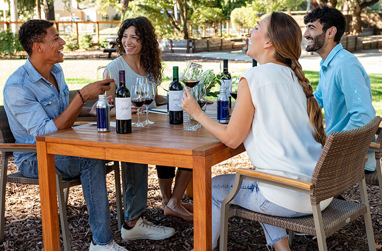 Group enjoying picnic and wine at Seghesio Family Vineyards