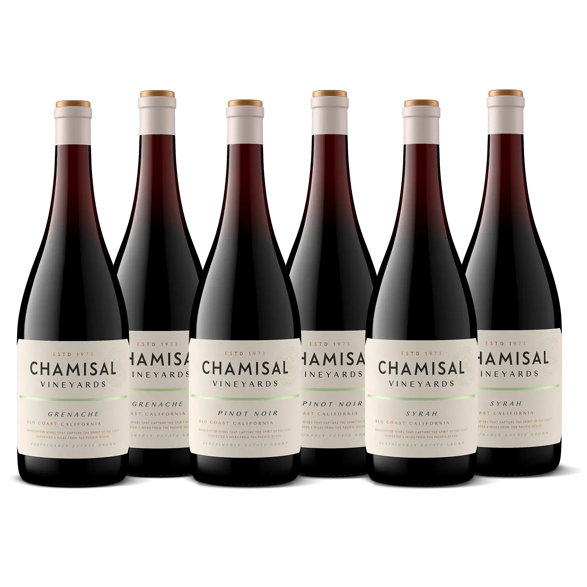Six bottles of Chamisal Vineyards red wine are arranged in two rows on a white background. The visible varieties are Grenache, Pinot Noir, and Syrah, each labeled with the winery’s branding. Perfect for gifting or collecting, these selections pair beautifully with the Califa Chardonnay & Pinot Noir 2-Bottle Gift for any wine enthusiast.