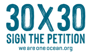 Sign the Petition 30x30 weareoneocean.org