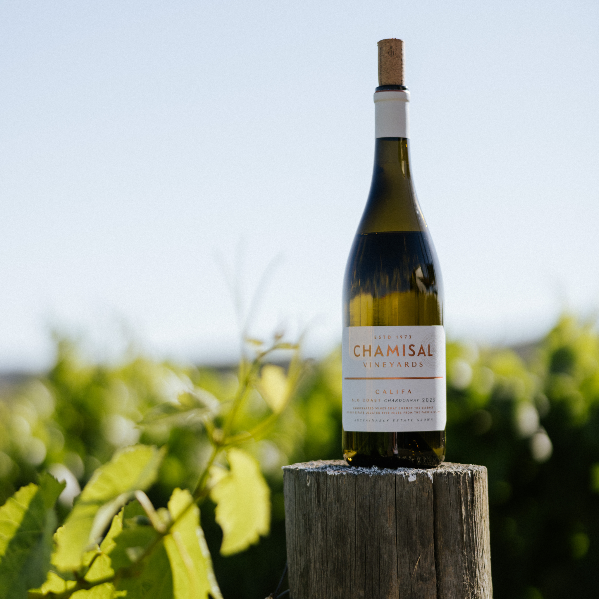 A bottle of Chamisal Vineyards wine sits atop a wooden post in a sunlit vineyard, with green grapevines and a clear blue sky in the background.