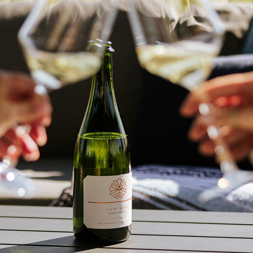 A group of people clink wine glasses around a bottle of white wine on an outdoor table, with sunlight illuminating the scene.