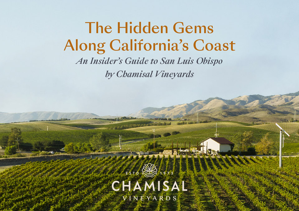 cover that says "the Hidden Gems Along California's coast"
