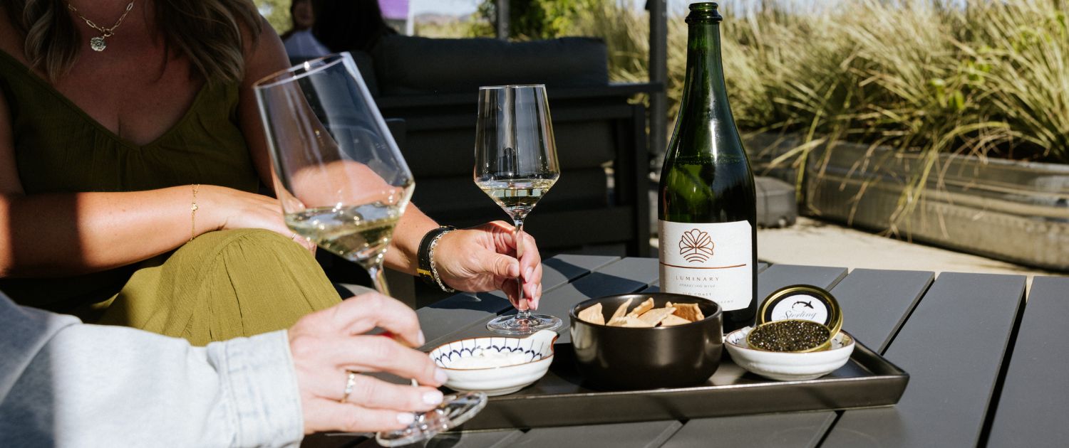 Two people clink wine glasses at an outdoor table with a bottle of white wine, small dishes of snacks, and a bowl of crackers, evoking the relaxed moments often shared in wine club newsletters, with tall grasses swaying gently in the background.
