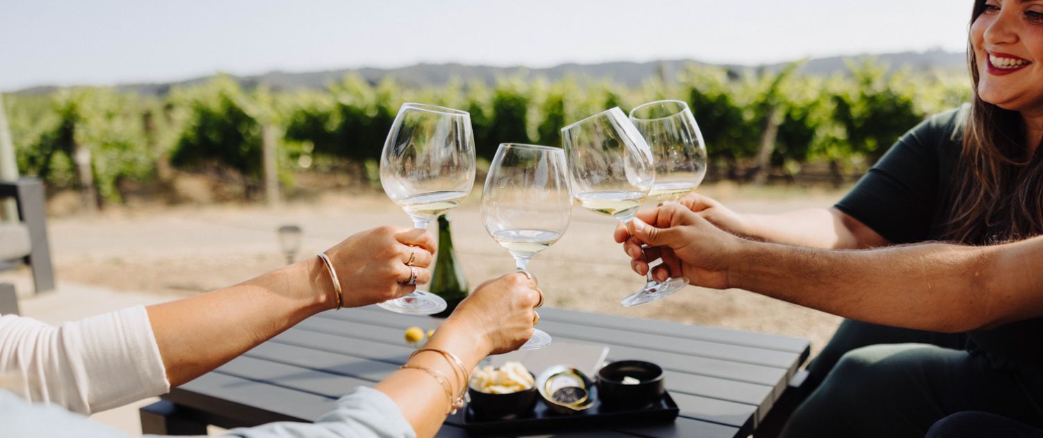 Four people clink wine glasses at an outdoor table in a vineyard, smiling under the sun. With snacks and views of green grapevines and hills, it’s a gathering that could be featured in wine club newsletters.
