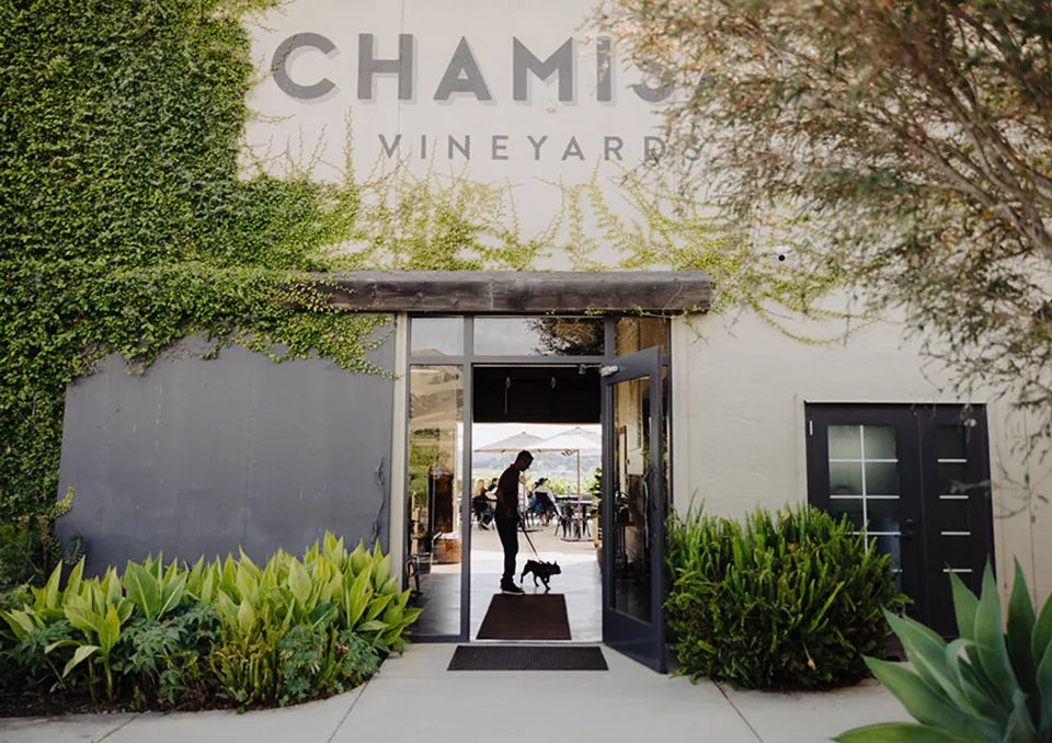 A person with a dog stands in the open doorway of a building covered in ivy, with “CHAMIS” and “VINEYARD” visible on the wall. Green plants line the walkway leading to the entrance.